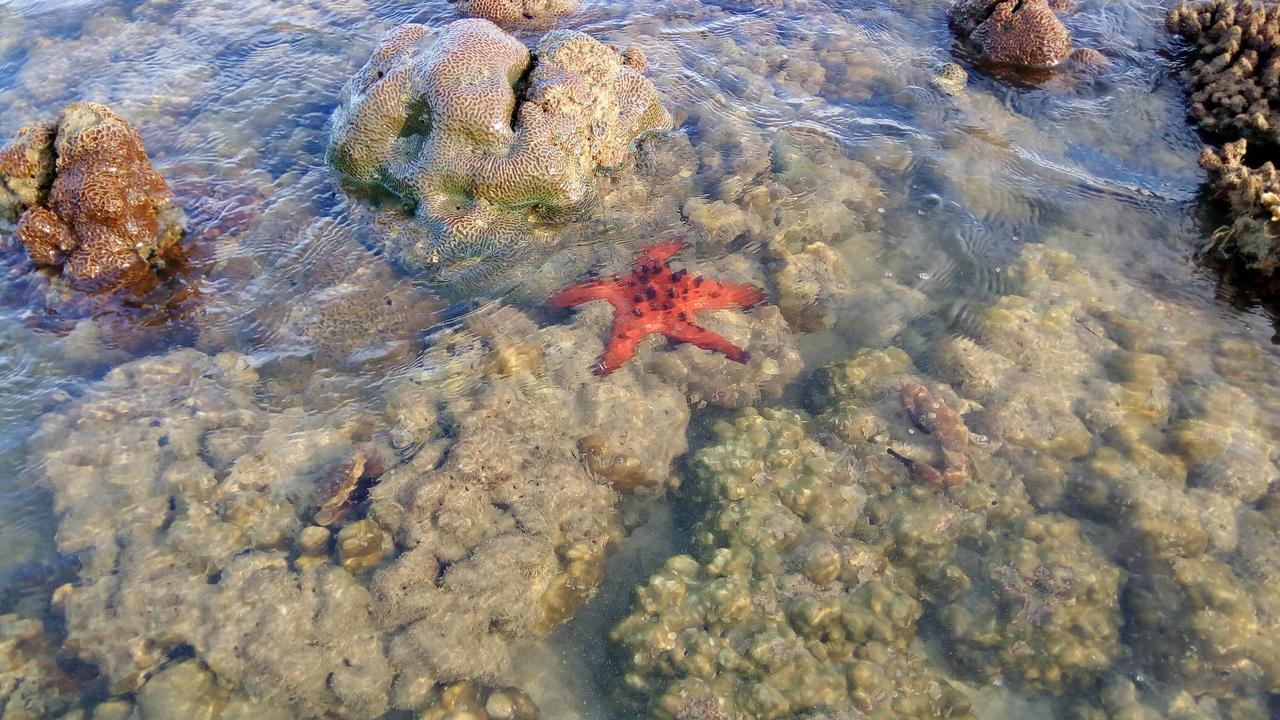 Koh Mook Hostel Zewnętrze zdjęcie